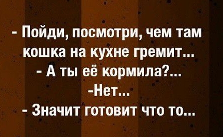 Пойди посмотри чем там кошка на кухне гремит А ты её кормила Нет Значит готовит что то