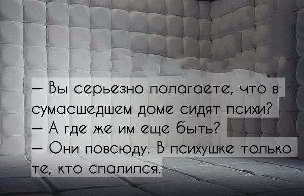 Бы серьезно полагаете что в сумасшедшем доме сидят психи А где же им еще быть Они повсюду Б психушш толща те КТО СПОПИПСЯ