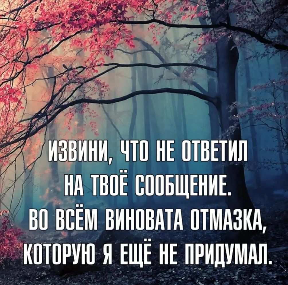 извини чтп НЕ птвпил нд твпё пппвшЕнив во всём винпвитд птидзкд иптприюя ЕЩЁ нЕ припимдп