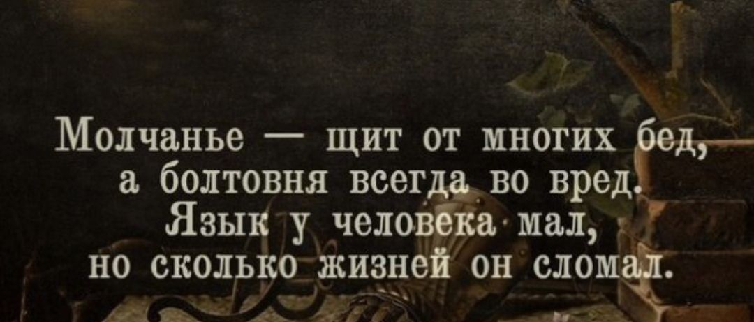 Молчанье щит от многих болтовня всегда во вред Язык у человршз мал но сколько жизней он слома шик дъ х и
