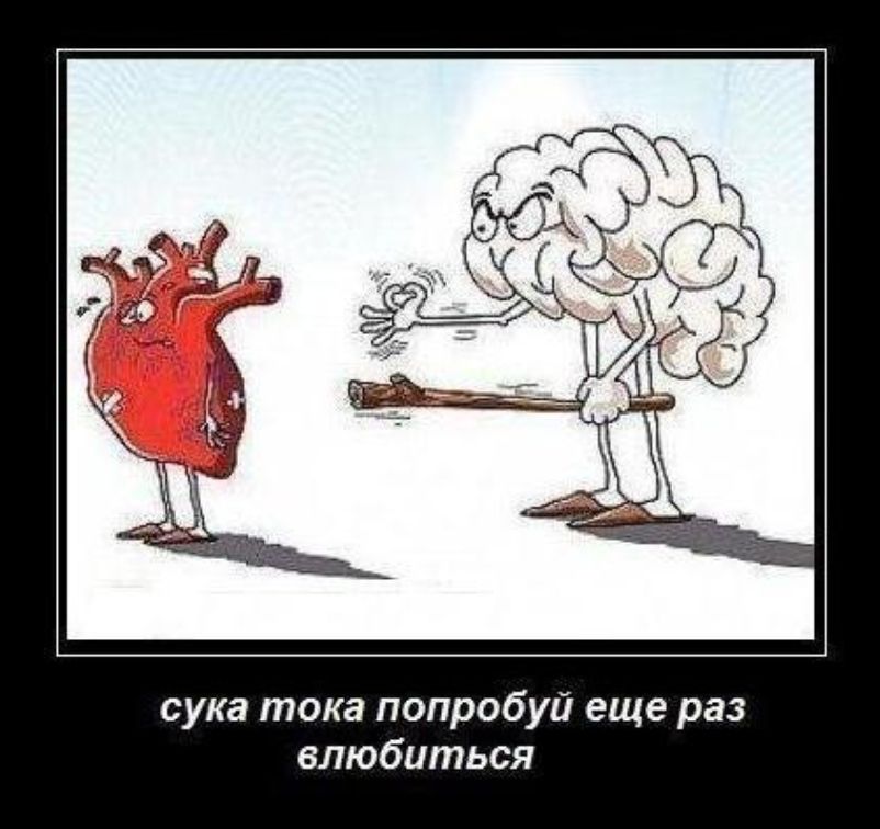 сука тока попробуй еще раз влюбиться