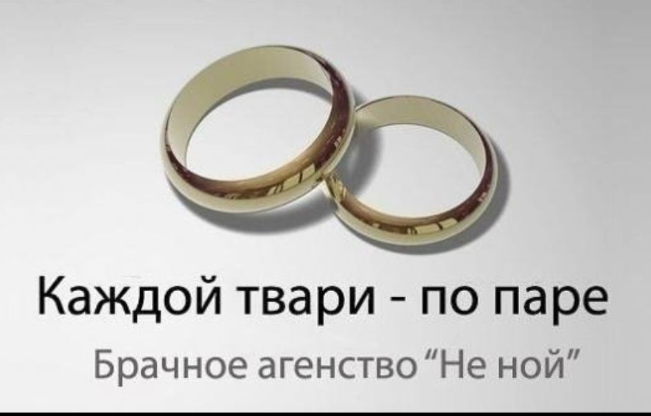 Каждой твари по паре Брачное агенствоНе ной