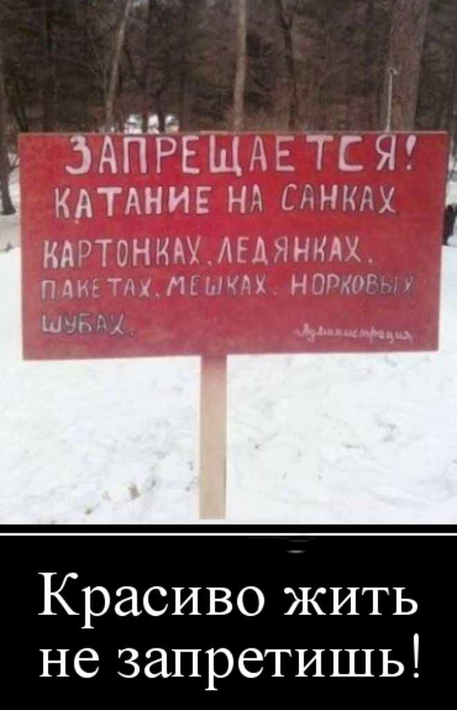 Жить Не Запретишь Картинки