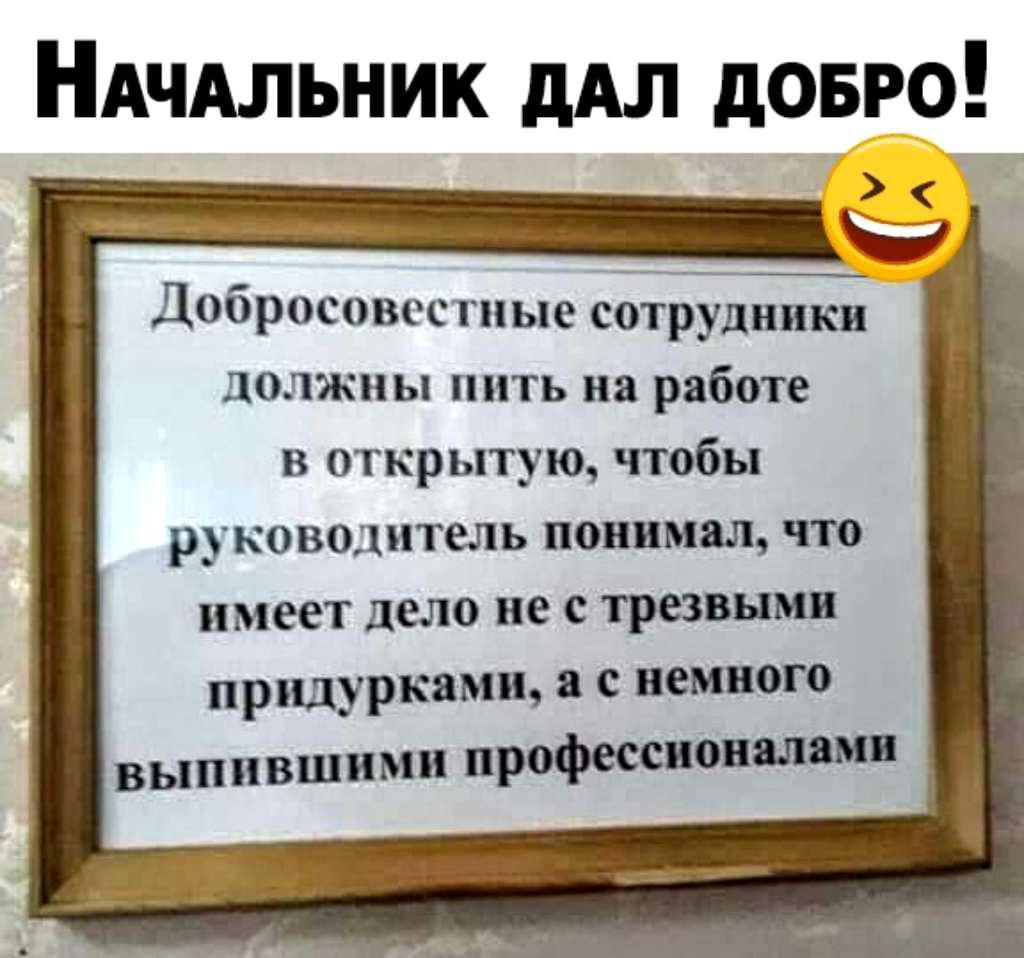 НАчдльник дАл довго Добросовестиые сотрудники должны пить на работе в  открытую чтобы руководитель понимал что имеет дело не с трезвньш придуркамщ  с немного выпившими профессионалами - выпуск №583545