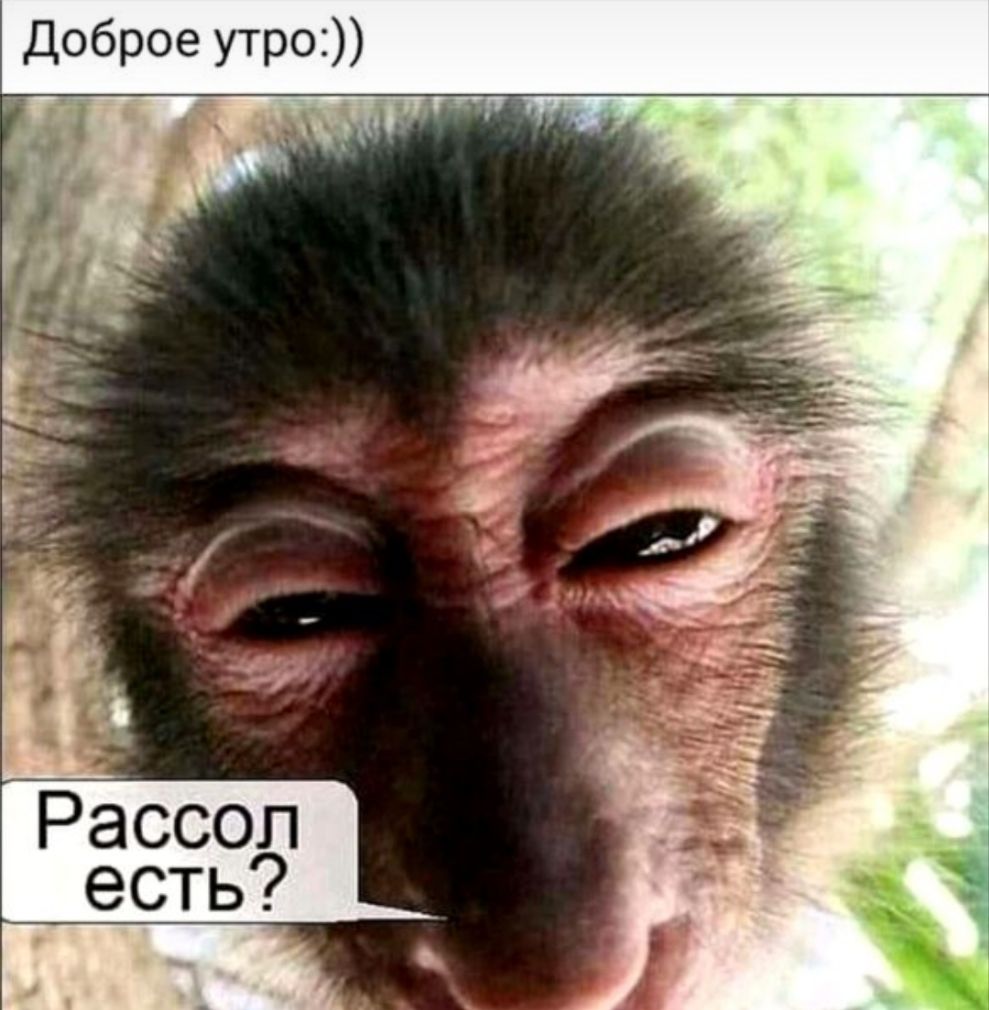 Доброе утро