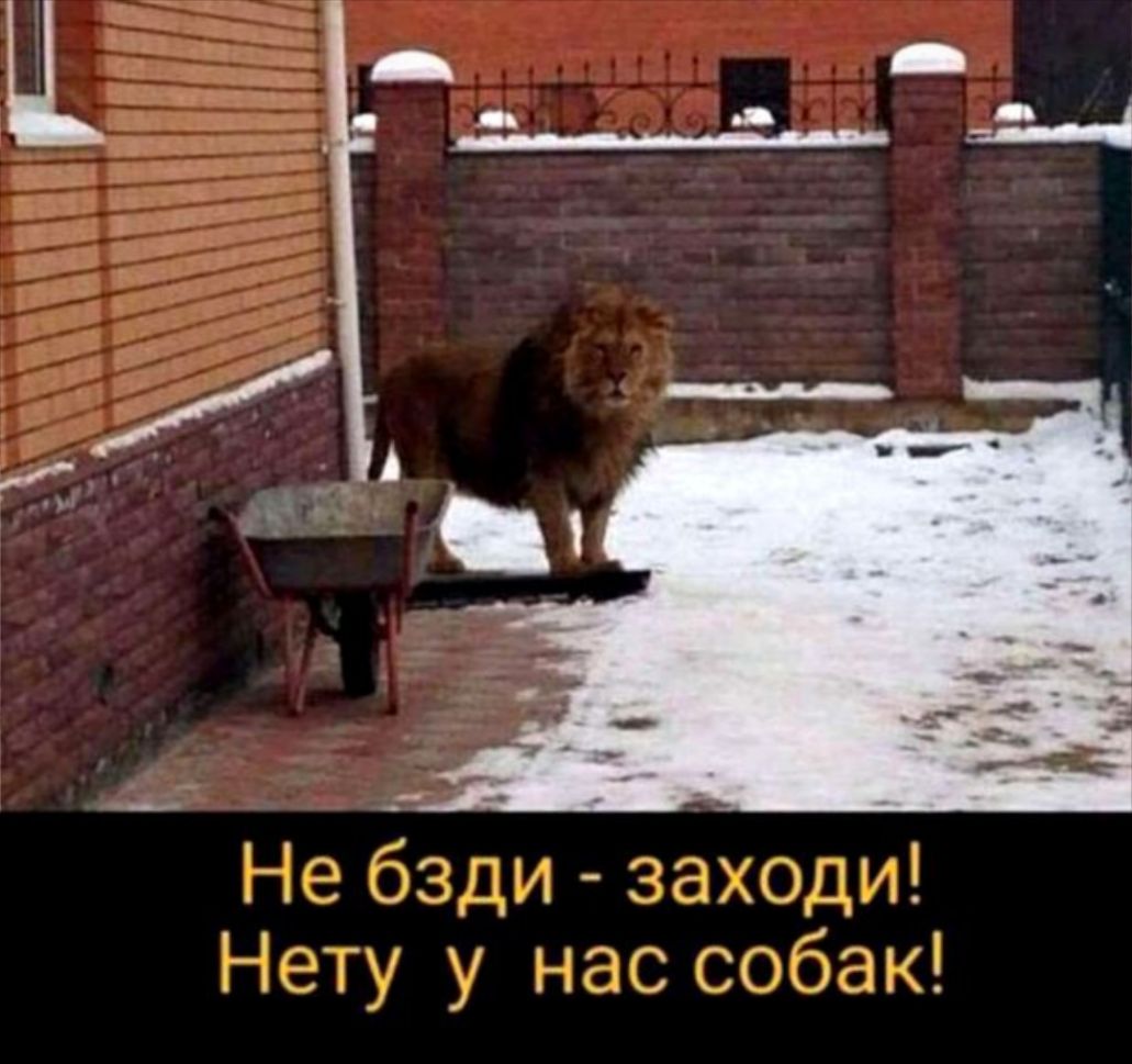 __ _ _ _ ц г _