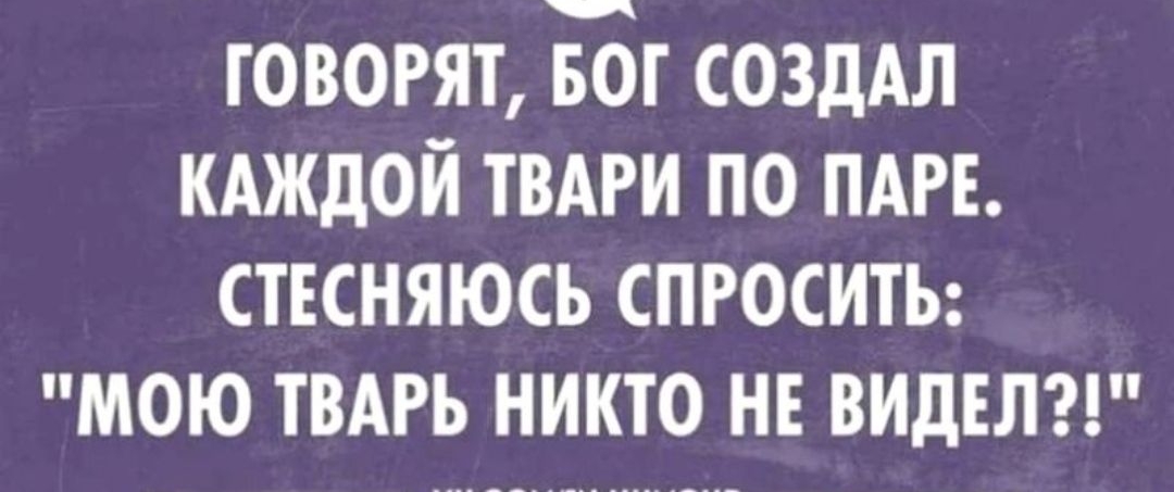 говорят вог создАл кдждой ТВАРИ по пт стесняюсь СПРОСИТЬ мою твдгь никто н видсли
