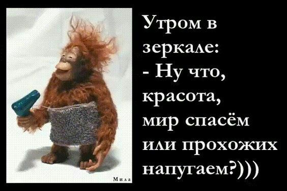 Утром в зеркаАе Ну что красота мир спасём ИАИ прохожих напугаем