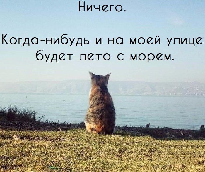 Ничего Когда нибудь и на моей упице будет лето с морем
