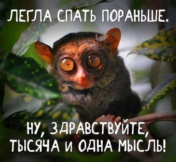 ну здчЁАвдёійід ТЫСЯЧА и ОДНА мыслы