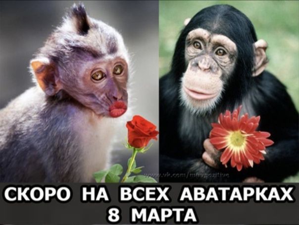 СКОРО НА ВСЕХ АВАТАЬКАХ 8 МАРТА