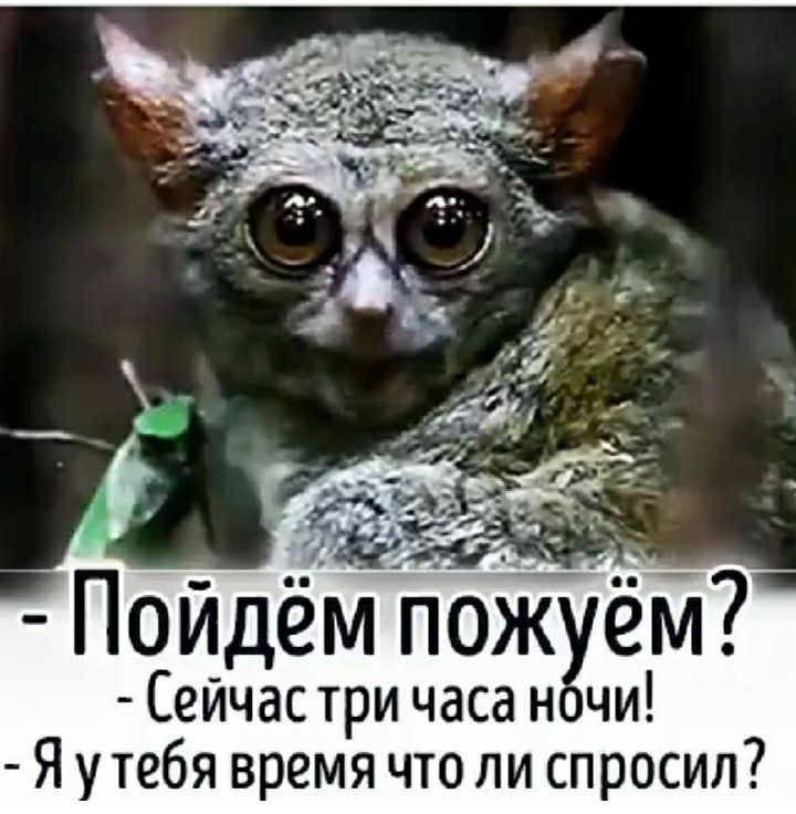 Пойдём пожхем Сеичас три часа нч Я утебя время что ли спросил