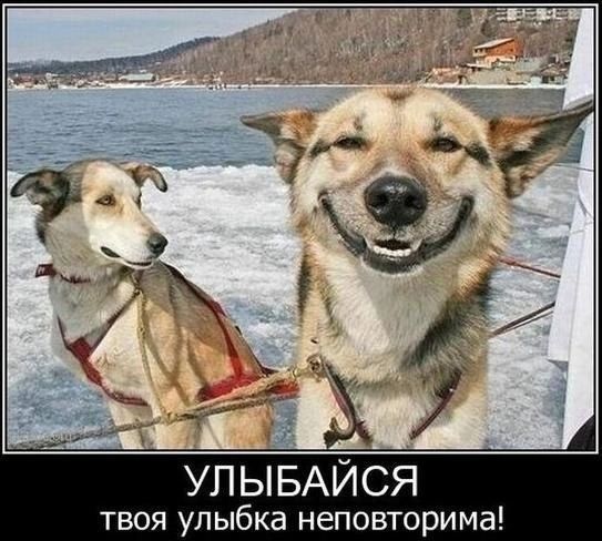 УЛ ЫБАЙСЯ твоя улыбка неповторима