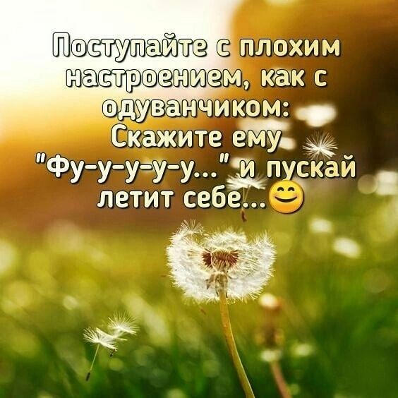 Шжюаутатз с плохим гщ катк с анчиком Скажите ету УУУ 1 у пускай летит себе