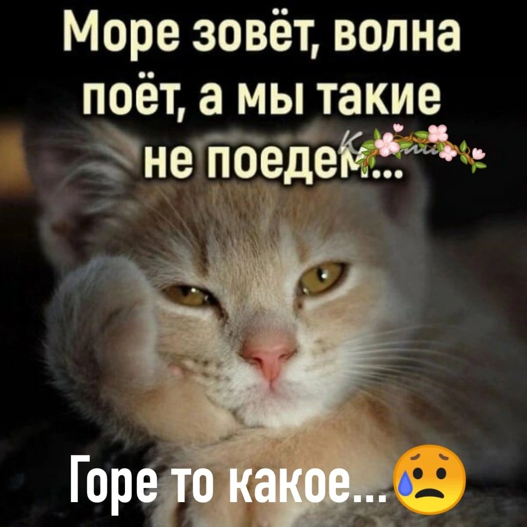 Море зовёт волна поёт а мы такие_ неібедейжщ