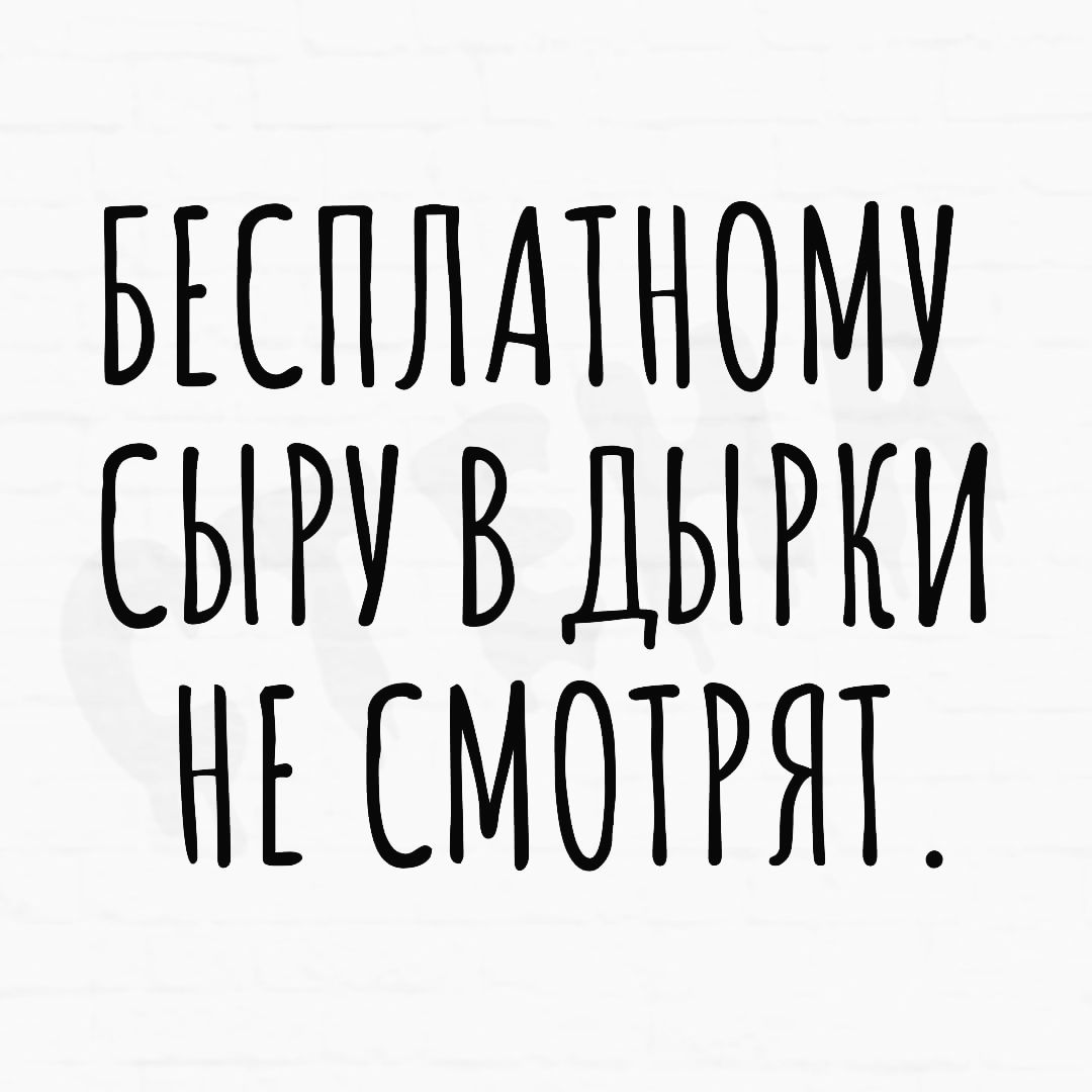 БЕСПЛАТНОМУ СЫРУ ВДЫРКИ НЕ СМОТРЯТ