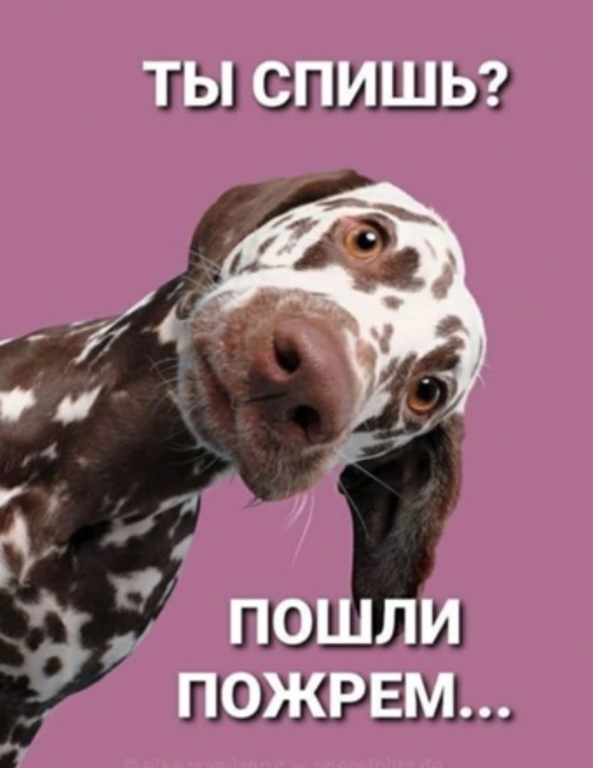 ТЫ СПИШЬ ПОШЛИ ПОЖРЕМ