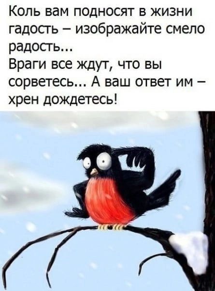 Коль вам подносят в жизни гадосгь изображайте смело радосгь Враги все ждут что вы сорветесь А ваш ответ им хрен дождетесь