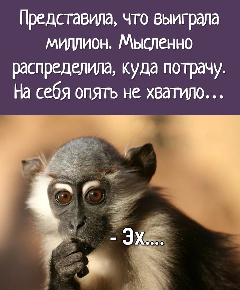 Предсгавшта что выиграла миллион Мысленно распределили куда потрачу На себя опягь не хватило