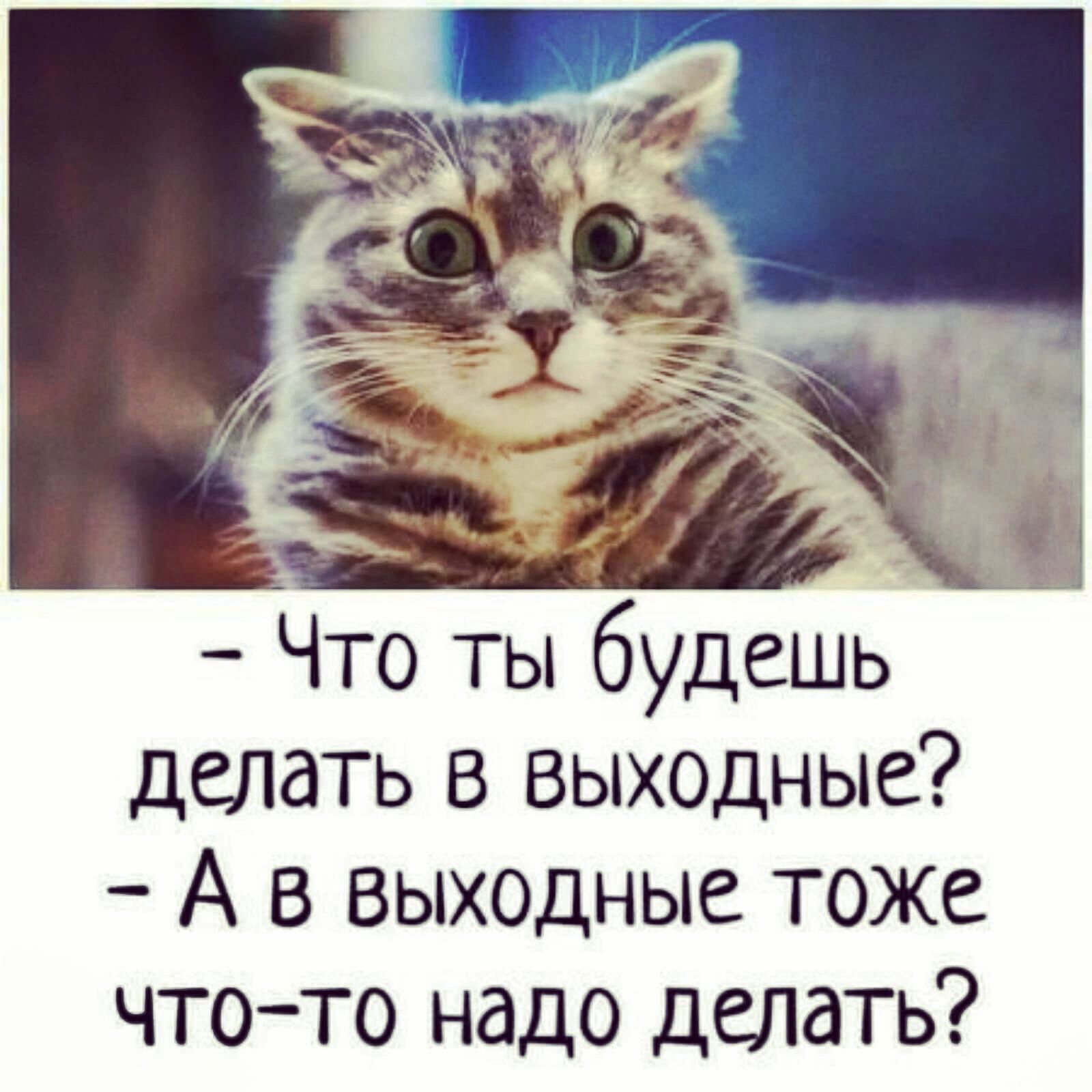 Чем заняться в выходные?