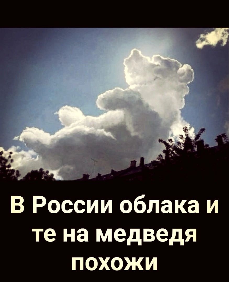В России облака и те на медведя похожи