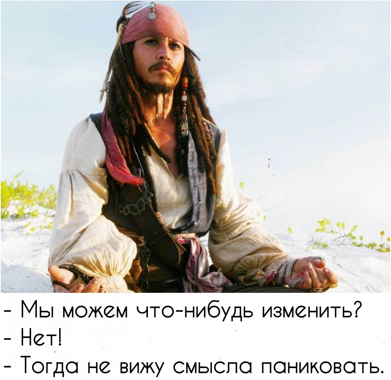 Мы можем чтонибудь изменить Нет Тогда не вижу смыспо паниковать