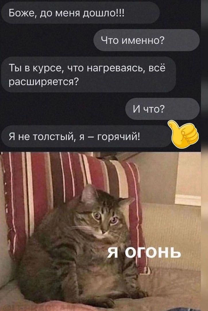 Боже до меня дошло Что именно Ты в курсе что нагреваясь всё расширяется И что Я не толстый я горячий