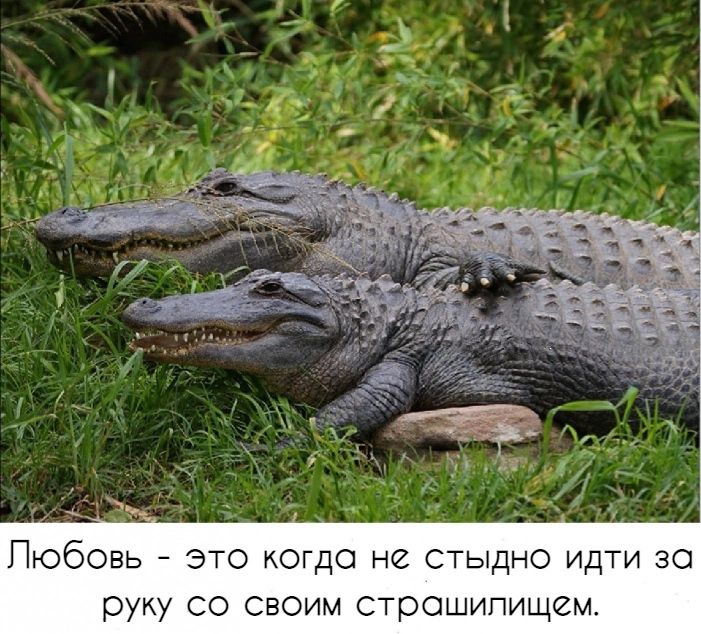Любовь это югдо не стыдно идти за руку СО Своим строшипищем