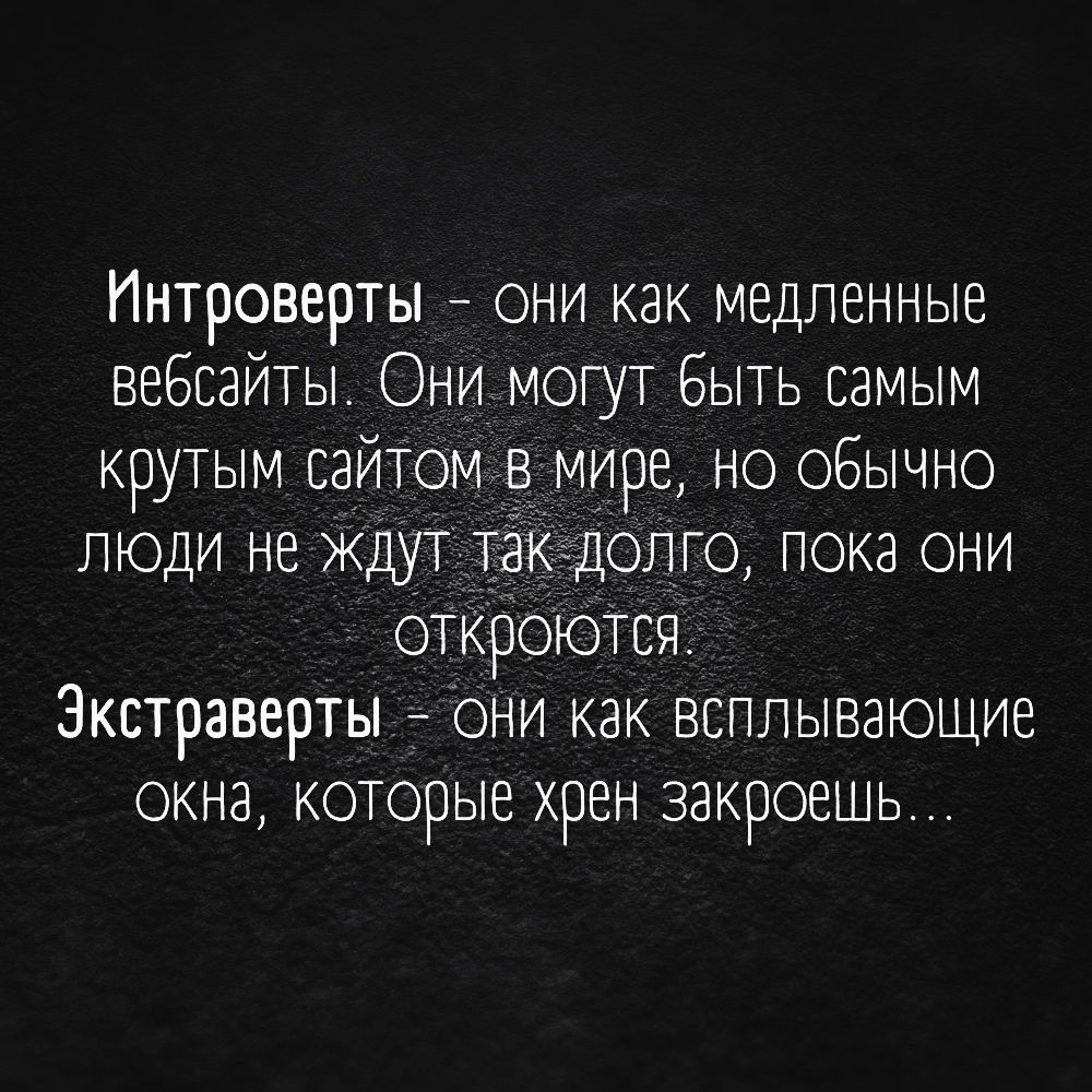 Интроверты они как медленные вебсайты Они могут быть самым крутым сайтом мире но обычно люди не ждут такдопго пока они откроются Экстраверты А они как всплывающие окна которые хрен закроешы