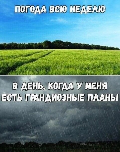 магом вею НЕЁЁЛЮ