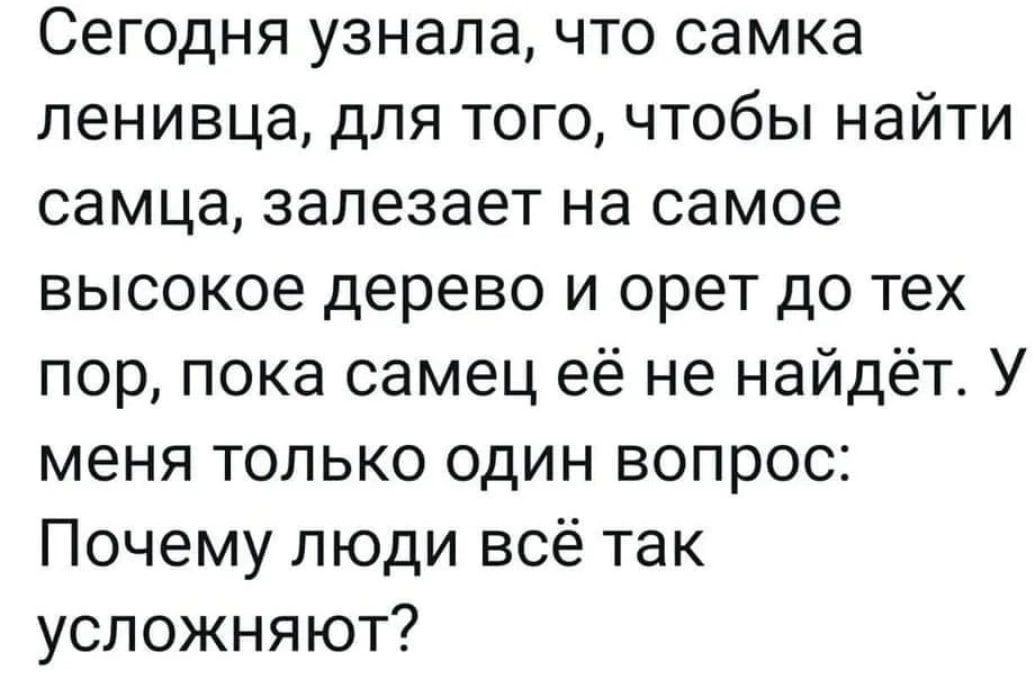 Сегодня узнала что самка ленивца для того чтобы найти самца залезает на самое высокое дерево и орет до тех пор пока самец её не найдёт У меня только один вопрос Почему люди всё так усложняют
