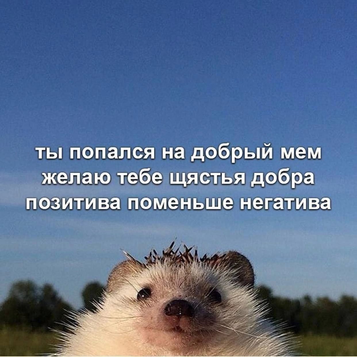 щмщщицддбрьйщ шты