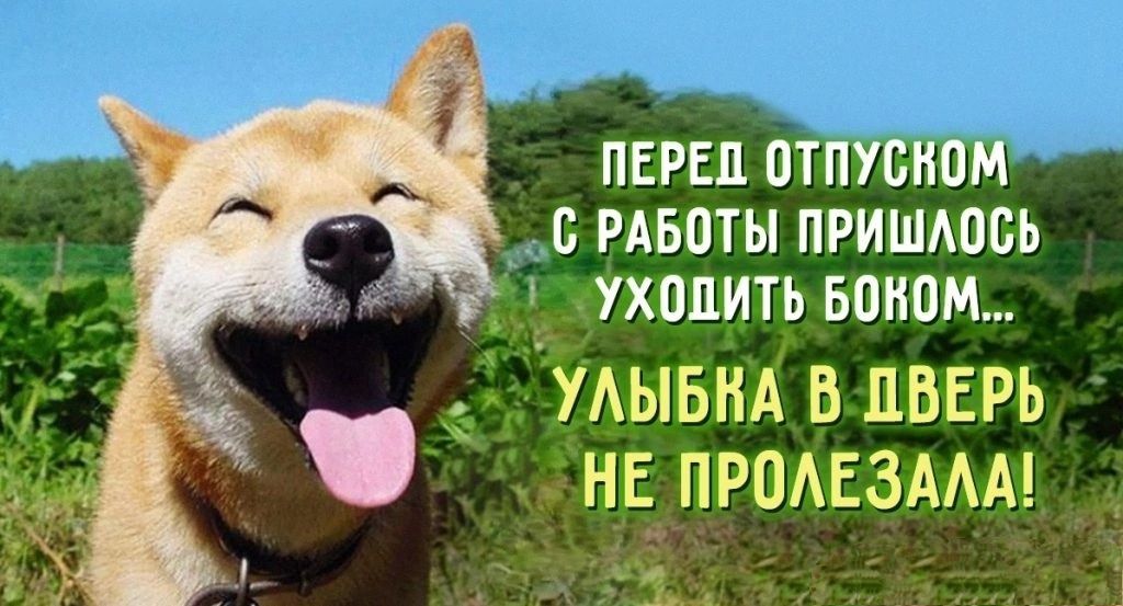 ПЕРЕЦ ОТПУСНПМ В РАБОТЫ ПРИШАПВЬ УХОДИТЬ БОИПМ УАЫЬНА в лвврь НЕ пгодвзмм Ад