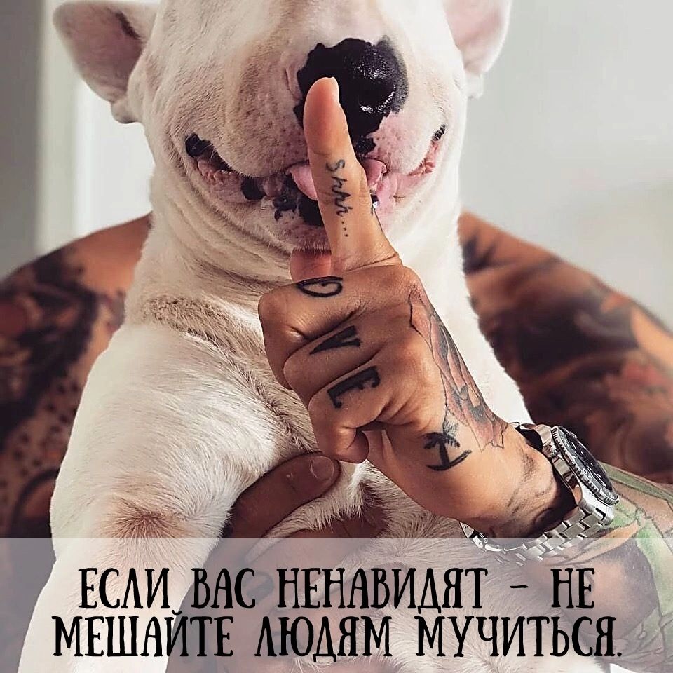 водим мучитьш