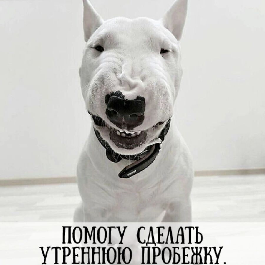 ПОМОГУ САЕААТЬ УТРЕННЮЮ ПРОБЕЖШ