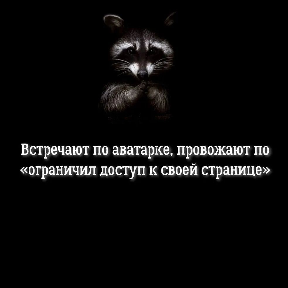 41 д Встречают по аватарке провожают по ограничил доступ к своей странице