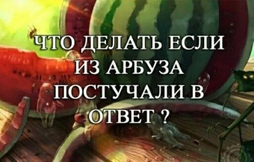 о ДЕЛАТЬ ЕСЛИ из АРБУЗА _ __ _П0_СТУЧАЛИ в тт