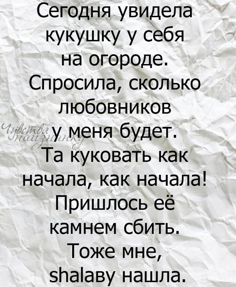 Сегодня увидела кукушку у себя на огороде Спросила сколько любовников у меня будет Та куковать как начала как начала Пришлось её камнем сбить Тоже мне 5Ьааву нашла