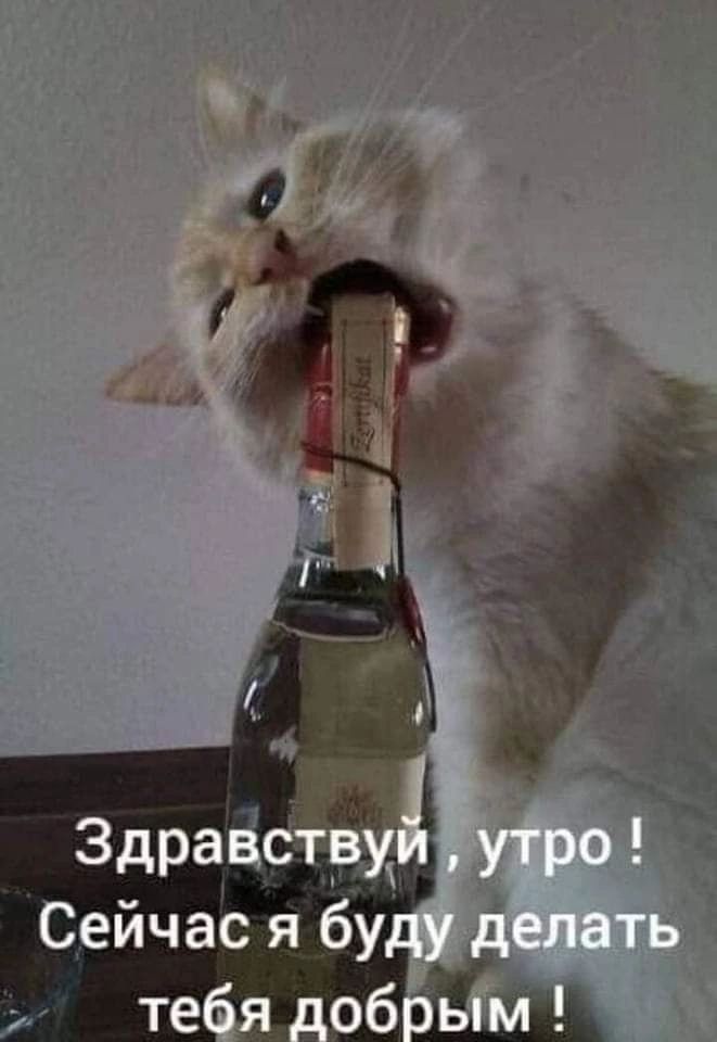 Здраё 53 Сейчас я бу