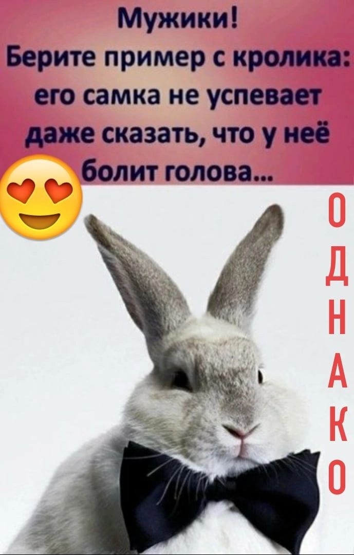 Мужики Берите пример крамп его самка не успевает же сказать что у не болит голова _а А