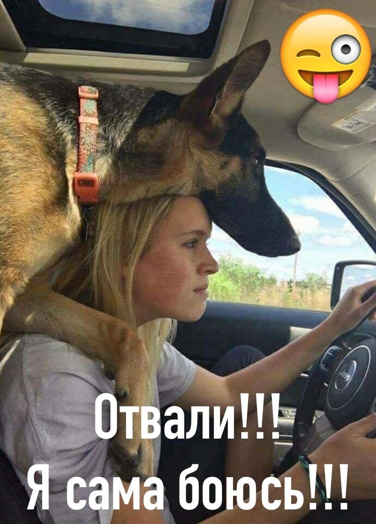 тЁалиП г _ а боюсь