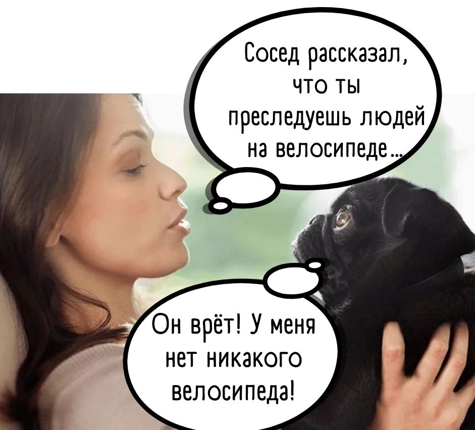 Сосед раввказап ЧТО ТЫ превпедуешь людей на велосипеде Он врёт У меня нет никакого Велосипеда
