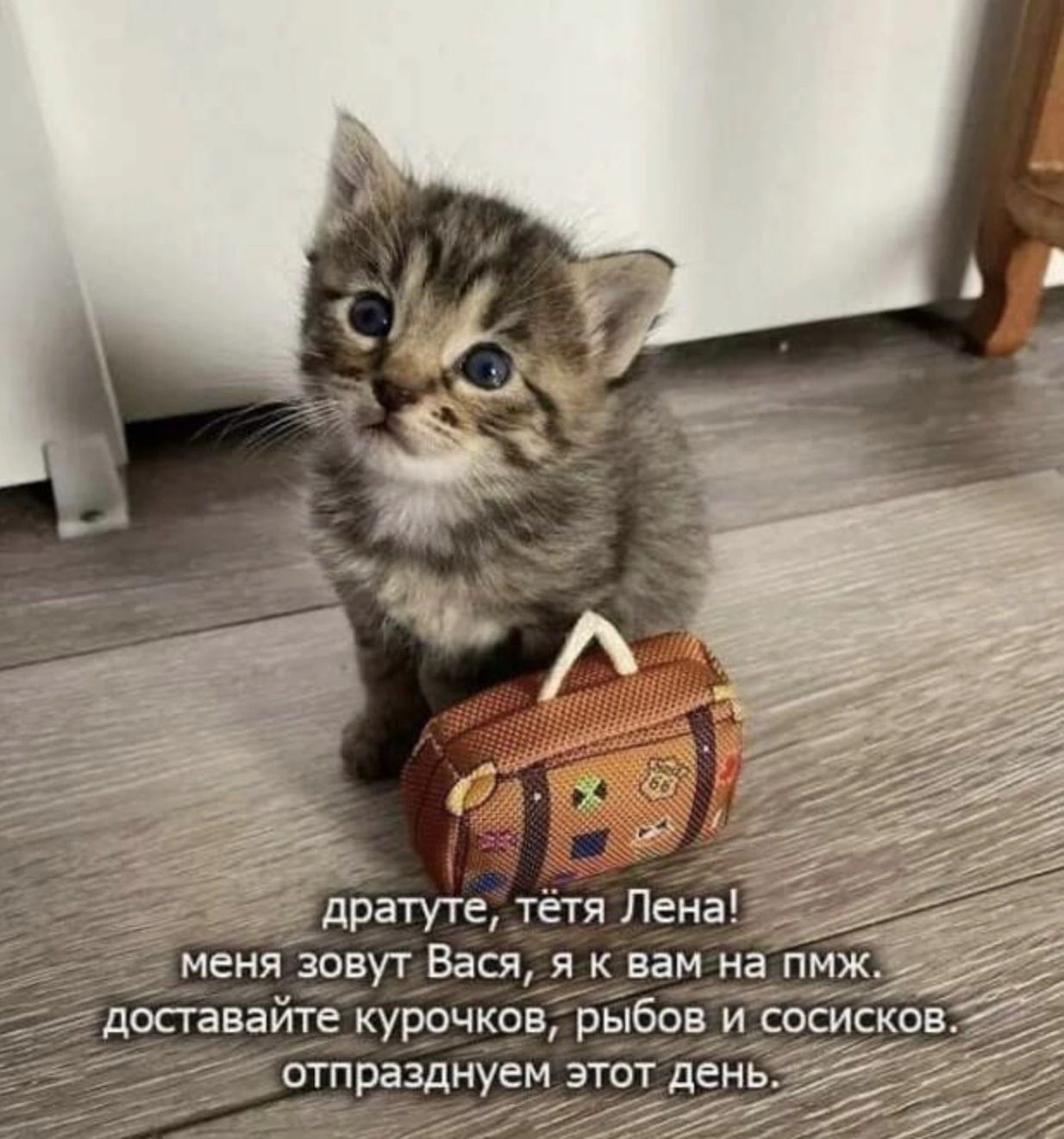 меня зовут Вася я вам на трк _ доставайте курочков рыбов исосиско дані4
