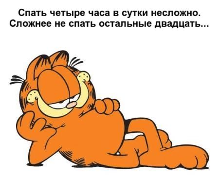 Спать четыре часа в сутки несложно Сложнее не спать остальные двадцать