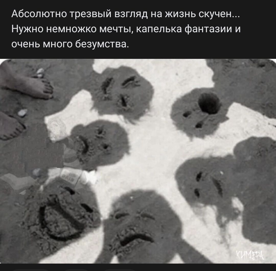 Абсолютно Трезвый взгляд на жизнь скучен Нужно немножко мечты капелька фантазии и очень много безумства