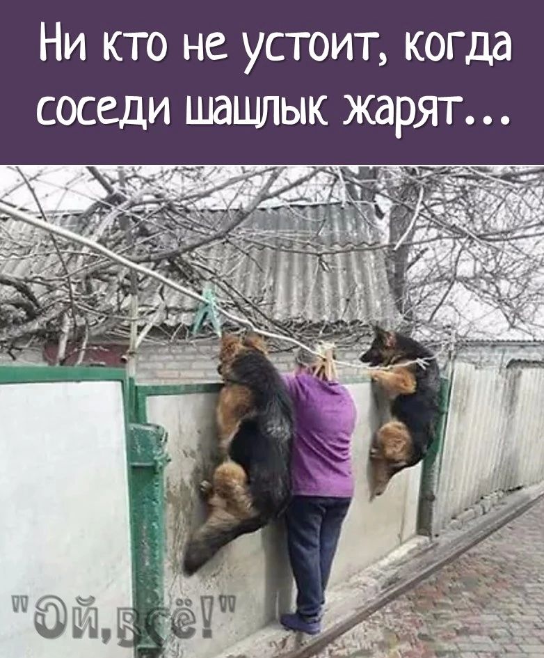 Ни кто не устоит когда соседи шашлык жарят