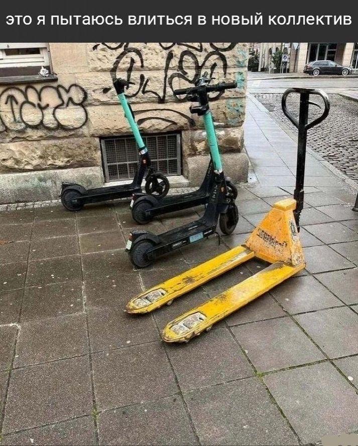 ЭТО Я ПЫТЭЮСЬ ЕЛИТЬСЯ В НОВЫЙ коллектив
