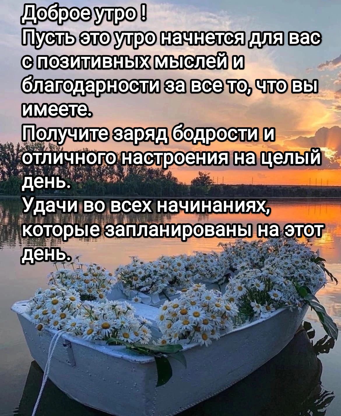 0 ешшыапэтш аащзщтшш Получитез МШ