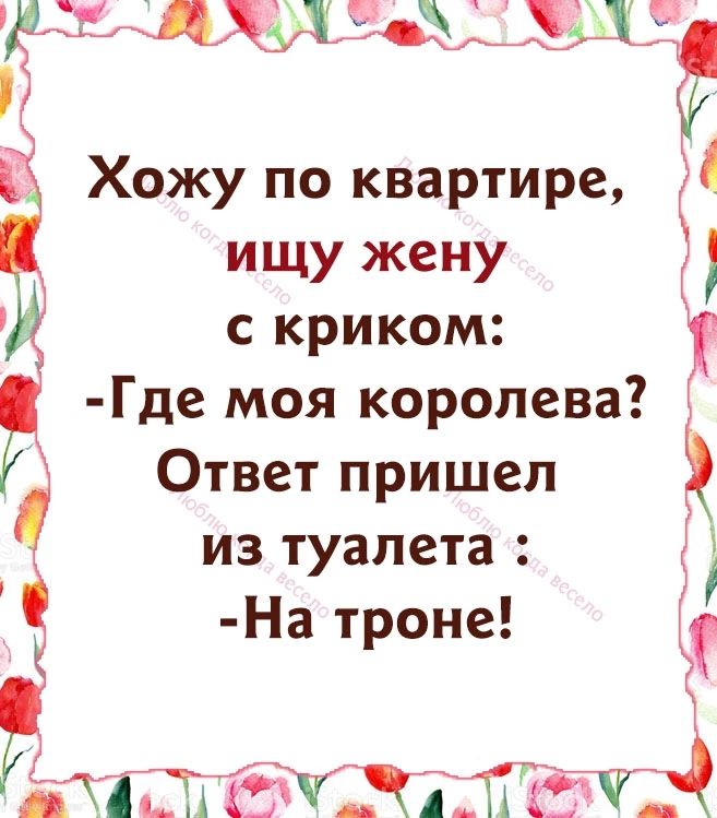 ЁАЪЩХИ дмц В Э Хожу по квартире ищу жену с криком Где моя королева Ответ пришел из туалета На троне ЧЁПЁ Уххйііё