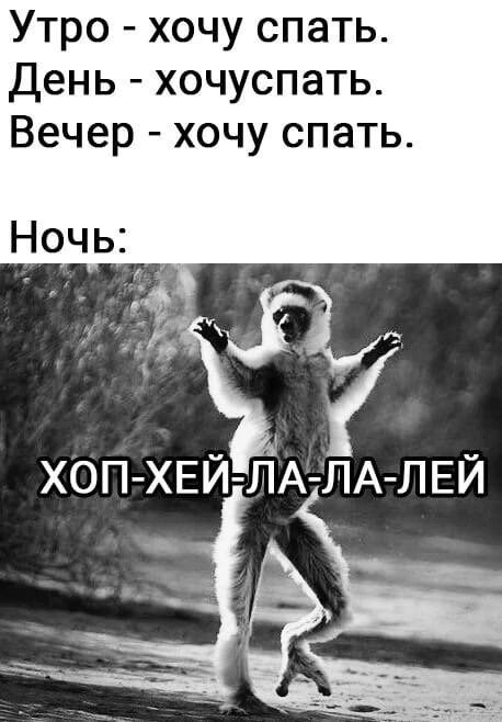 Утро хочуспать День хочуспать Вечерхочуспать Ночь ХОП ЁЁЁА ЛА ЛЕЙ